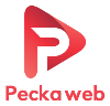 pecka_web_logo_tvorba_webu